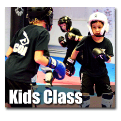 Family martial arts
